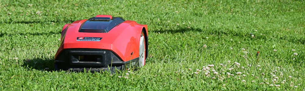 Rasenmähroboter auf einer Wiese.